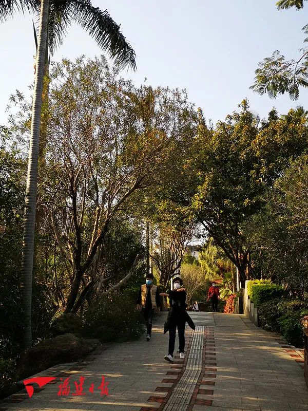 福建省春游好去处,福建赏花踏青游玩