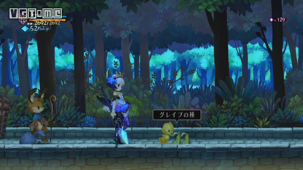 奥丁领域巴哈姆特,奥丁领域