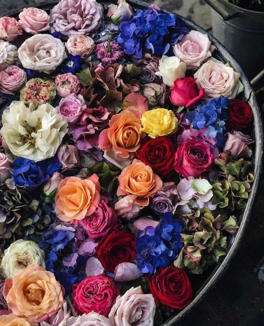 伦敦花店排名,伦敦花店哪个最好