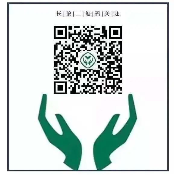 统编版小学语文单元梳理,统编教材小学语文六年级知识点