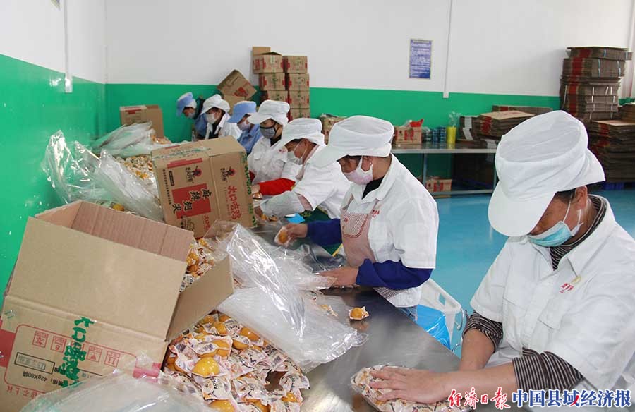 云南省祥云县复工,云南红塔银行助力烟农春耕复产