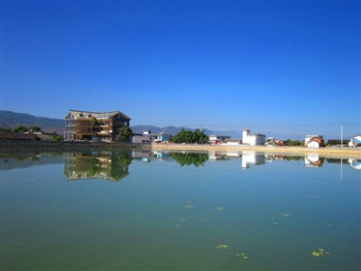 “黄头”变绿颜值美——隆阳区蒲缥镇王头寨社区发展蜕变侧记