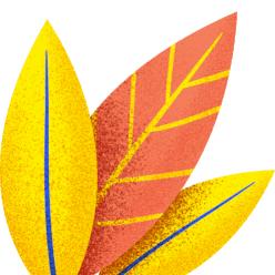 翠姐养生|寓意吉祥——槐花