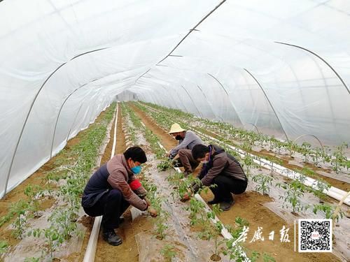 温暖在抗疫接力中,孝感抗疫新通知