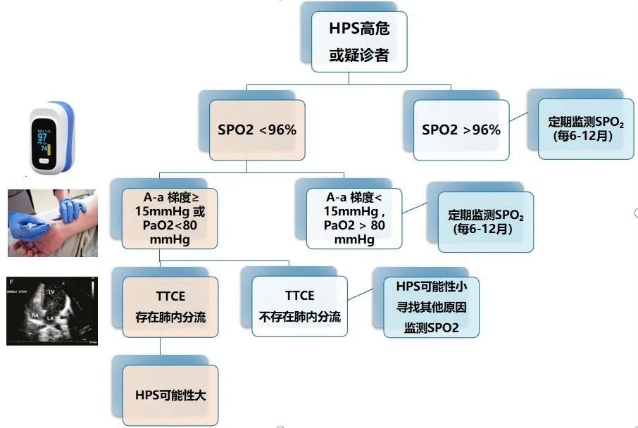 肝硬化肝肺综合征一般活多久,肝性脑病是肝硬化最严重的并发症