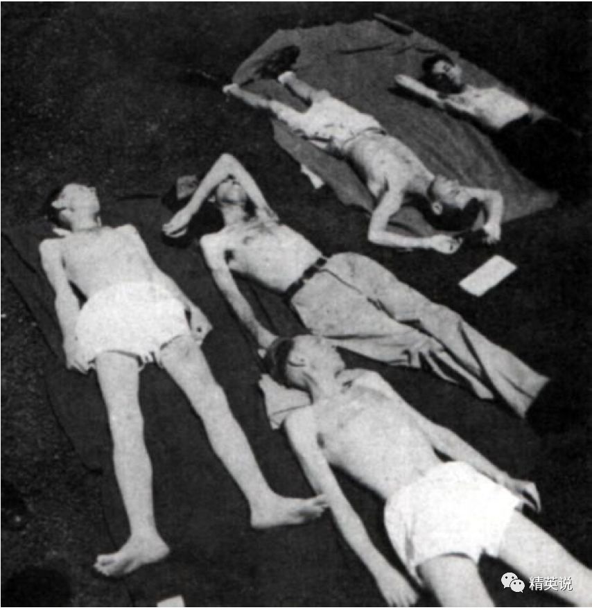 恐怖饥饿实验,美国饥饿实验一天摄入热量