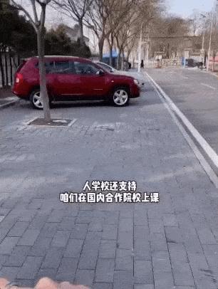 中国留学生回澳洲了吗,中国留学生回国后不适应