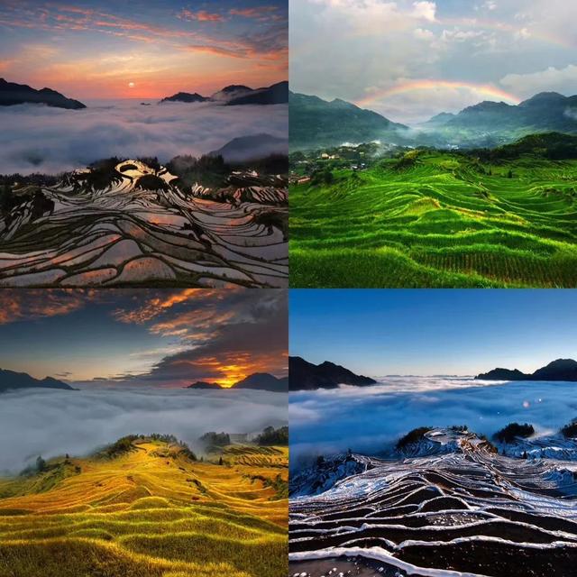 云和山什么意思,云和山是什么意思