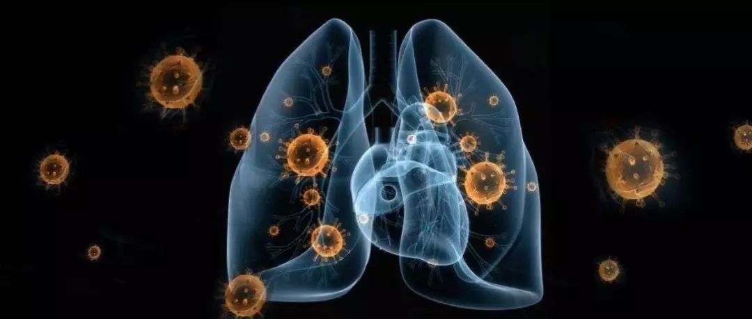 nk细胞毒性高怎么治疗,nk细胞能抗感染吗