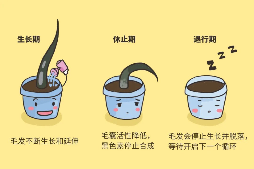 怎样才能让毛发生长越来越多呢,想脱头发怎么办