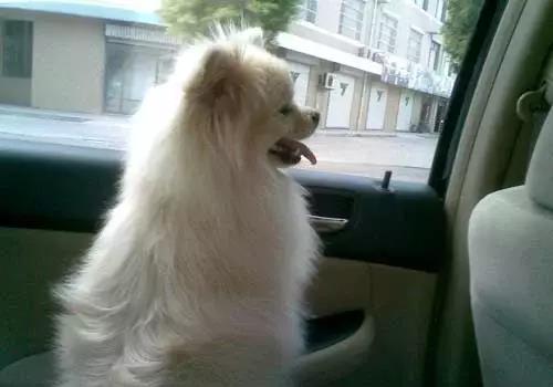 解决晕车的七个有效的小方法资讯,晕车小妙招100例