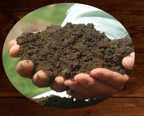 口罩去口臭的好物,口罩如何防口臭