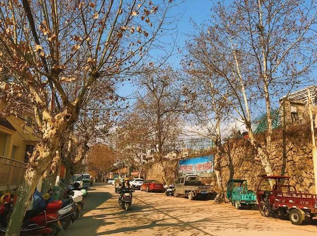 云和有什么特色地点,云和县城里的古街