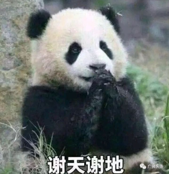 顺德2岁宝宝误服80多片降压药！奶奶的这一“非常举措”救命