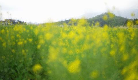 滁州市将迎大范围降雨降温天气,滁州雨雪低温天气再次来袭