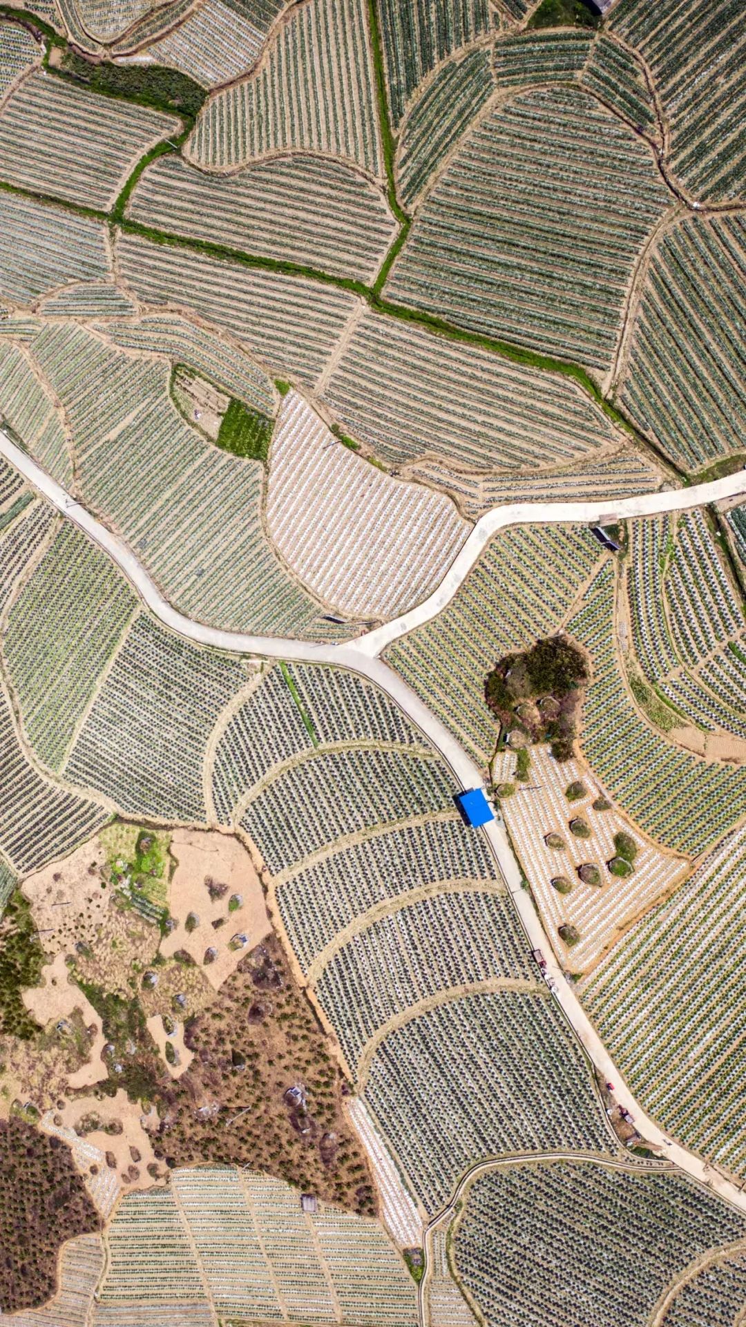 听春之声,听春之声圆舞曲感悟