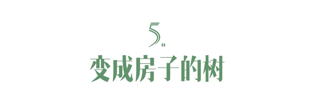 一起来植树的视频,今天适合植树吗