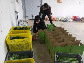 战疫日记坚守疫线只为团聚,战疫日记一位基层干部的抗疫日记