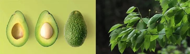 10鍒嗛挓娓呴櫎榛戝ご绮夊埡,榛戝ご绮夊埡鎸ゅ帇娓呯悊姣涘瓟绮楀ぇ