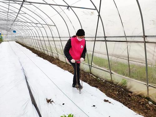 又是一年春来早家乡景色,又是一年春来早万物逢春在今朝