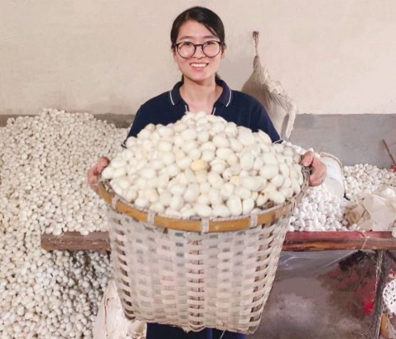 央视曝光蚕丝被长期盖,长期盖蚕丝被的危害图片