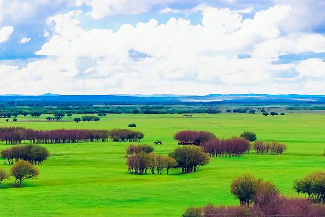 欢迎你来呼伦贝尔大草原,为你而来新疆歌曲拼音
