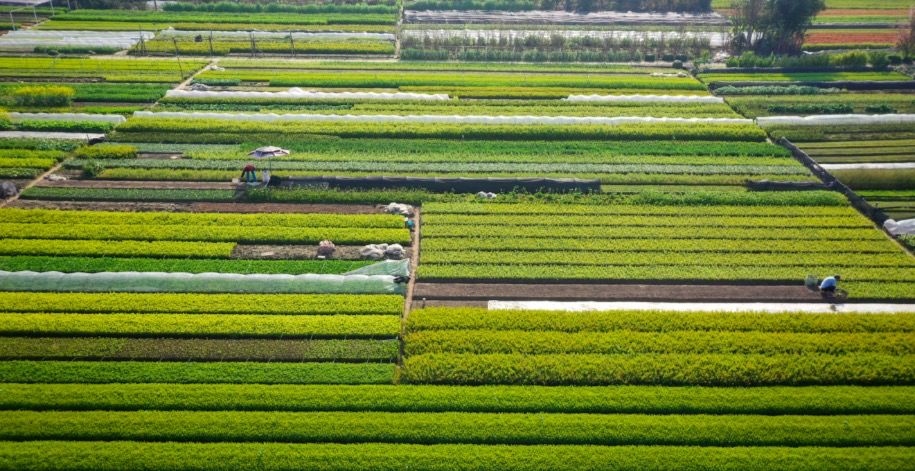 拓宽农产品销售渠道措施,拓宽业务销售渠道