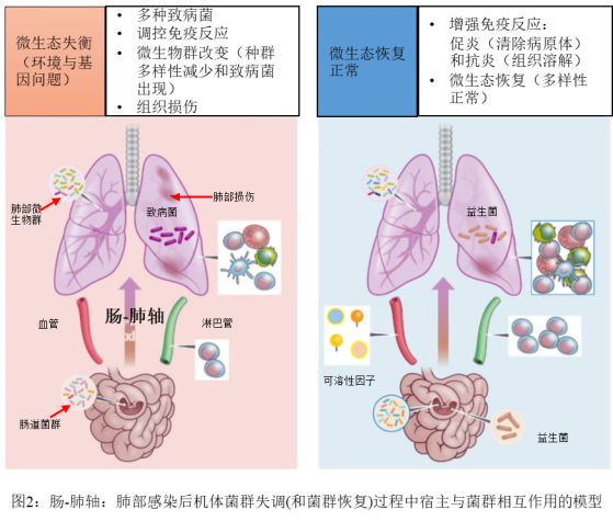呼吸道感染痊愈后建议吃什么,治疗呼吸道感染的小妙招