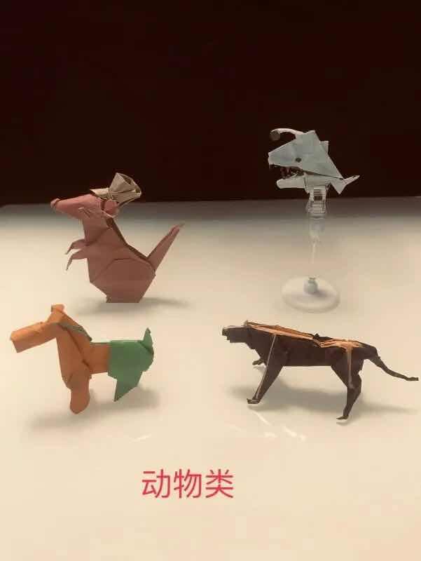 小学生手工折纸第一名,小学折纸一等奖