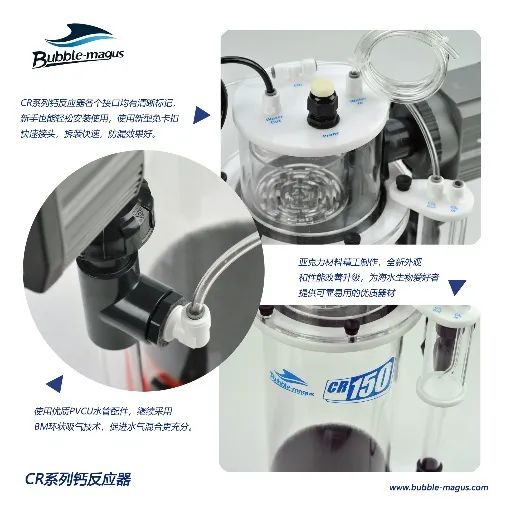 2020款,BM第3代钙反实测