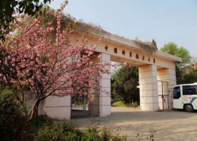 谁是中国ai芯片龙头公司,中国ai芯片太极