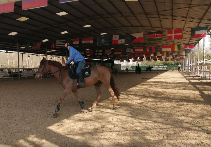 成都双流体育中心公告,成都双流体育中心最新消息