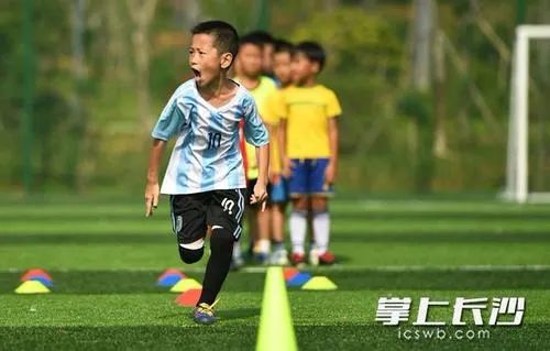 长沙县文体中心体育馆,长沙运动场建设