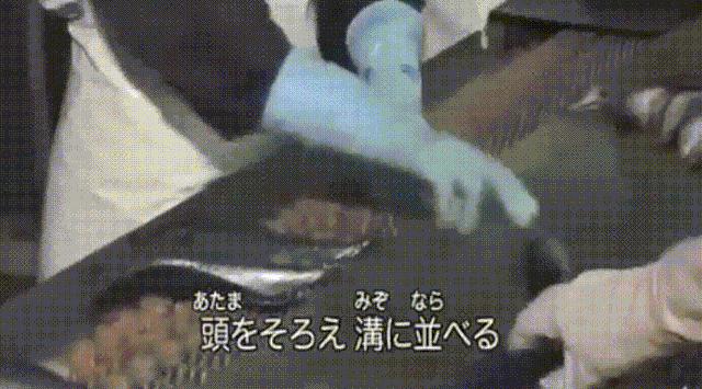 为什么外国人都抢罐头,为啥都在抢罐头