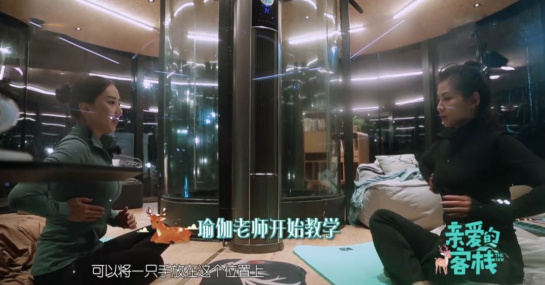 郎朗吉娜王牌对王牌量腰围,郎朗炫耀吉娜腰围