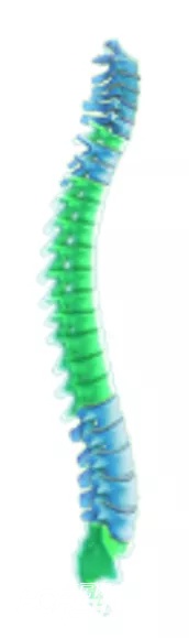 航天级无创体检仪登陆肇庆院子，1分钟告别亚健康