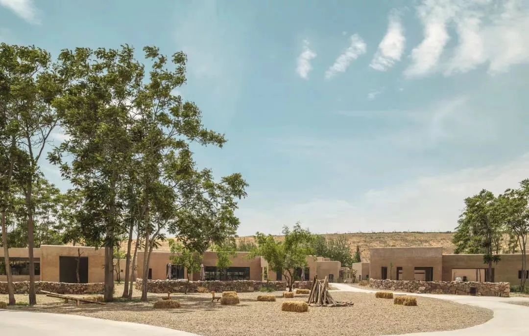 宁夏沙坡头自由行旅游攻略,宁夏旅游沙坡头攻略