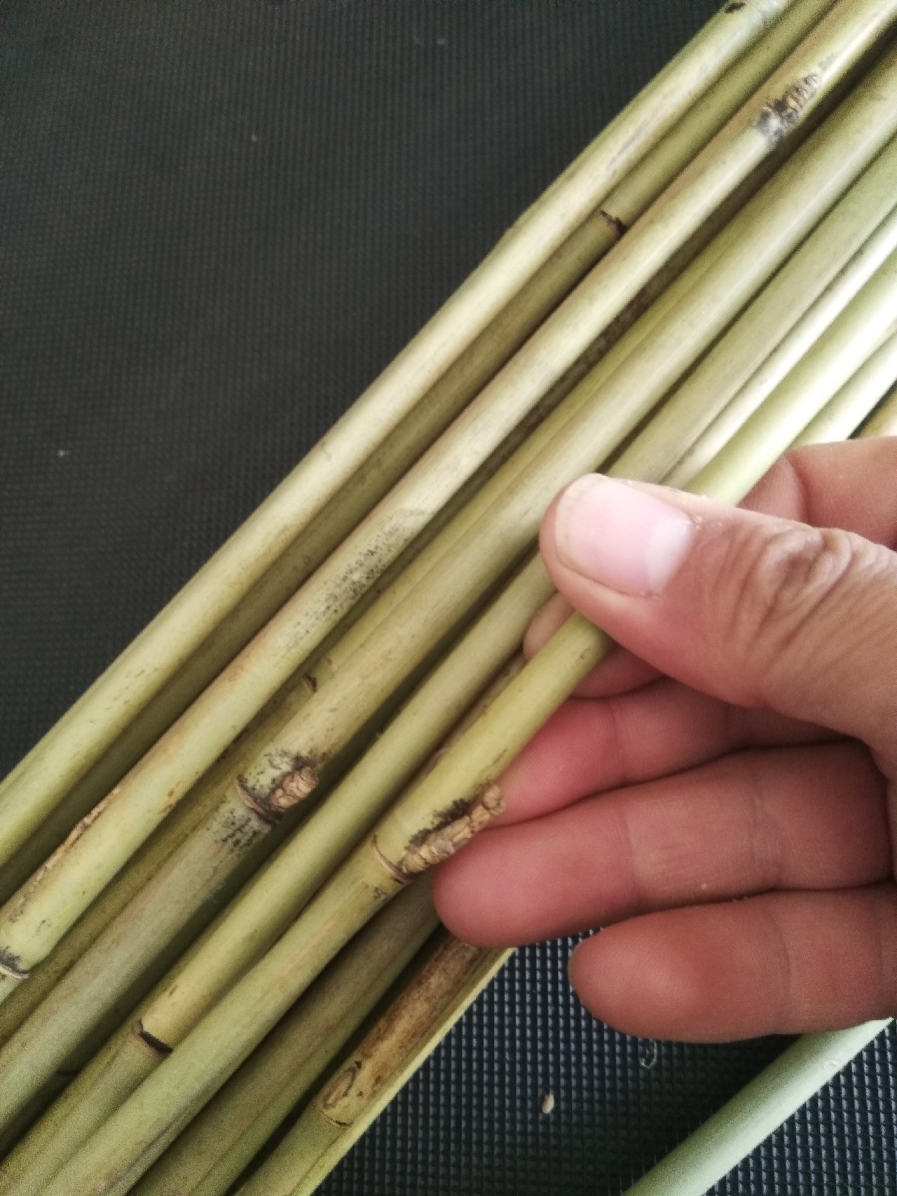 并继竿竹制好还是碳素好,自制并继竿需要什么竹子