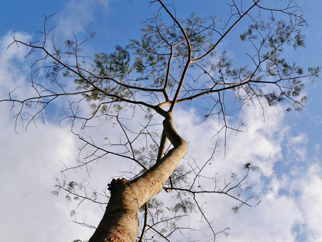 曾奇峰疫情课感悟,曾奇峰谈疫情控制