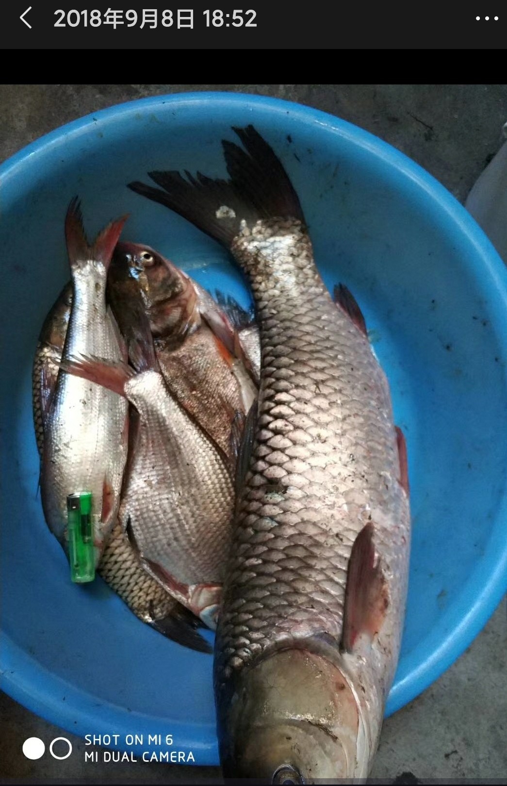 我与钓鱼之家的故事