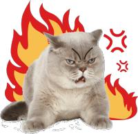 每月电费45百有什么方法可以省电,电费突然翻倍找什么部门投诉