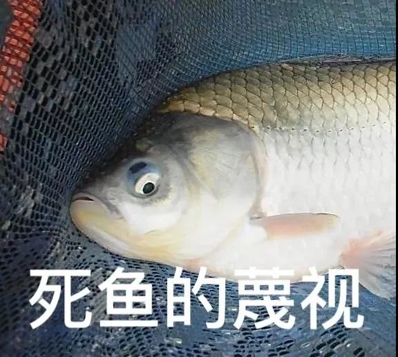 舌尖上的中国横县鱼生余师傅,舌尖上的美食之横县鱼生