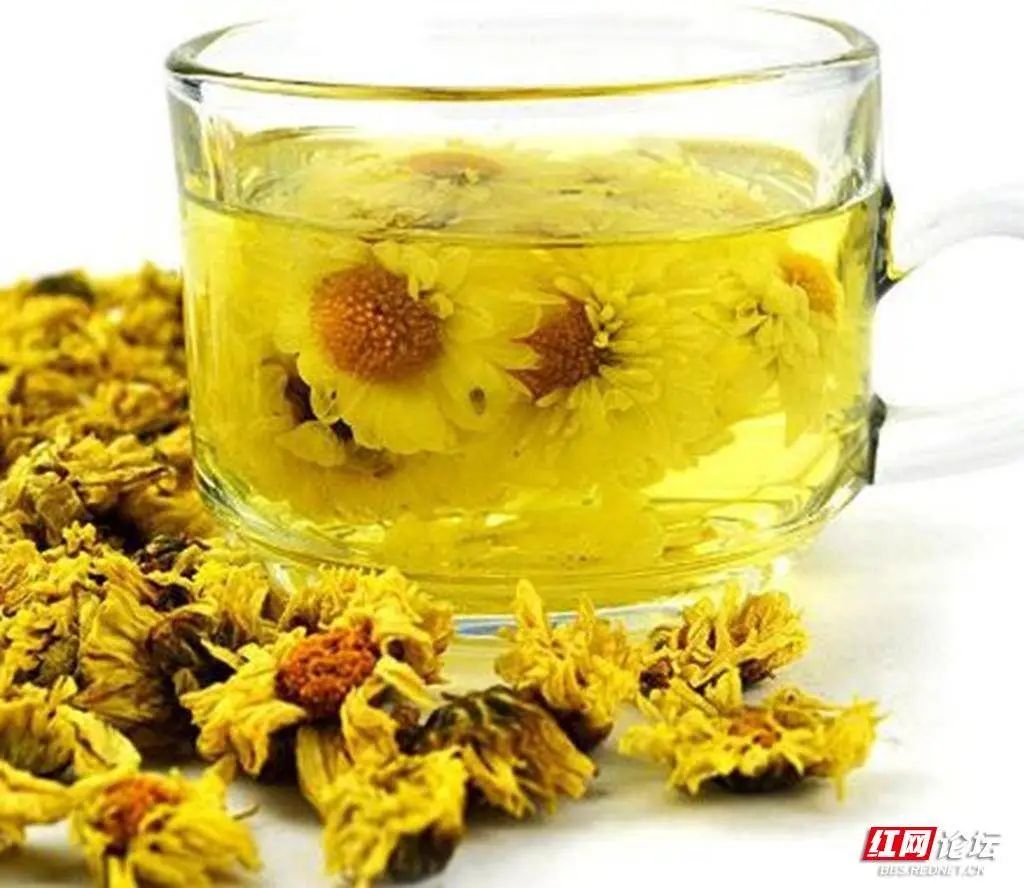 清明节祭祖踏青的传统习俗,说说大家当地清明节的特色跟风俗