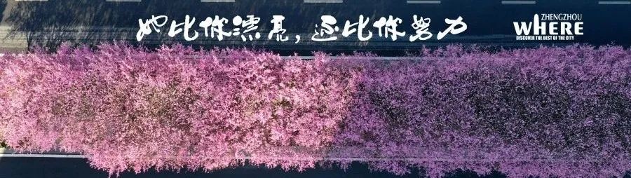 【双语听读】Henandialectclass河南话通关指南