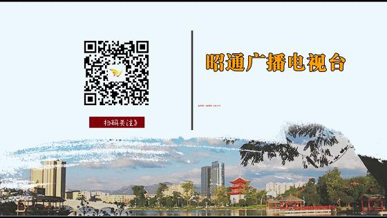 《大家说法》---关注《网上*访信**》