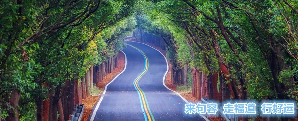 小句调查|在希望的田野上探寻小康“密码”