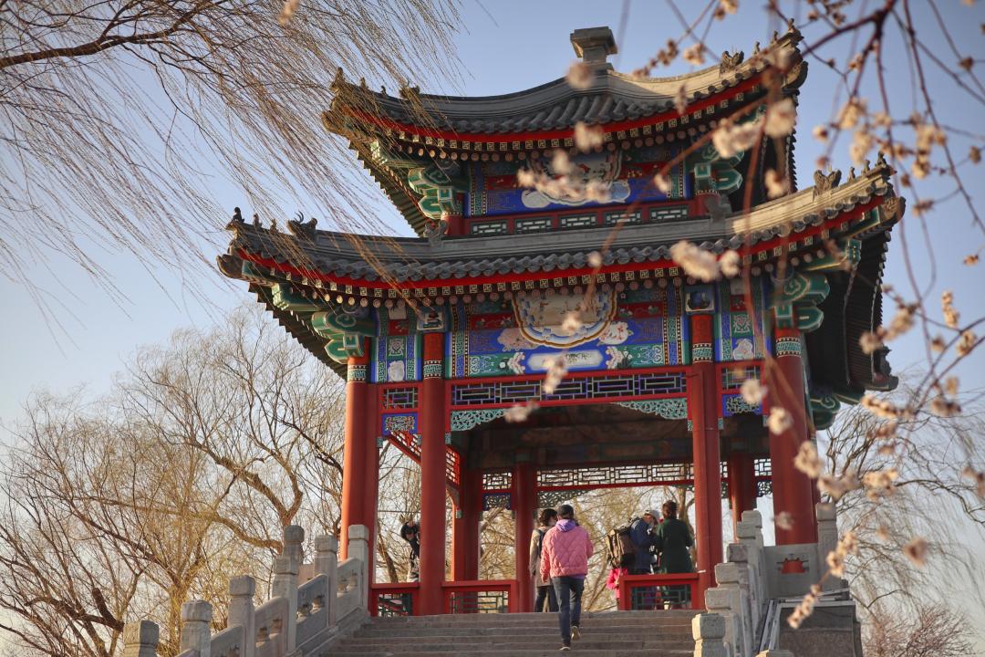 武汉终于解封！待到樱花再开时，相约这座英雄城市可好？