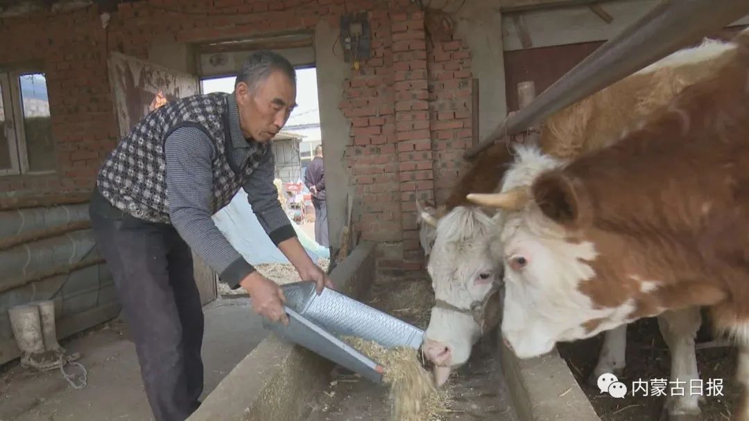 三大会战简介,三大会战方案