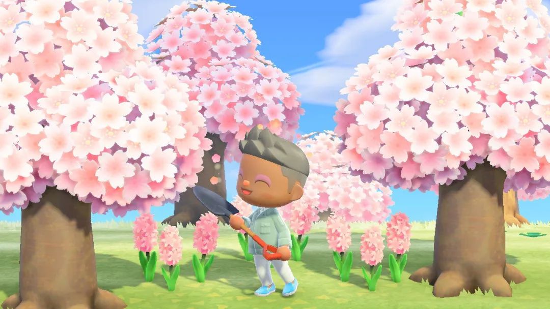 在哪可以看到动森,动森还有人吗