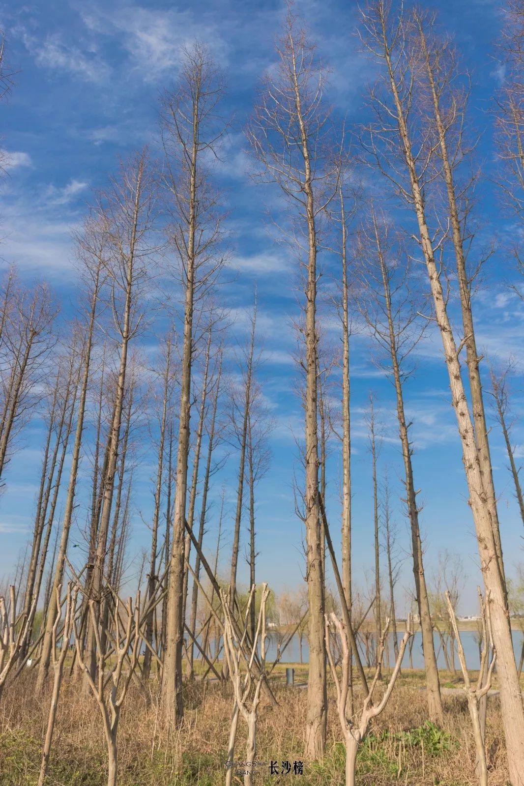 长沙国金中心冰激凌网红打卡,长沙美食推荐网红打卡地